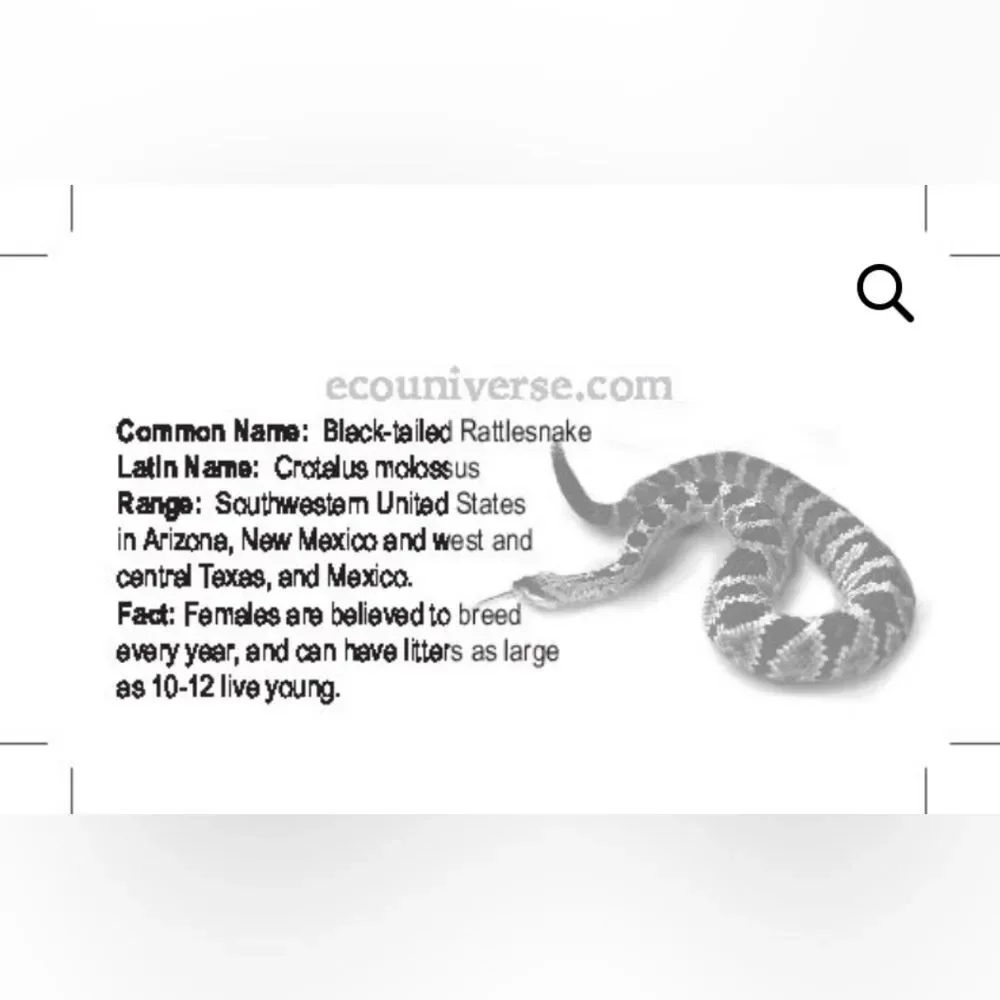 ECO Wear & Publishing, Inc. embrace your